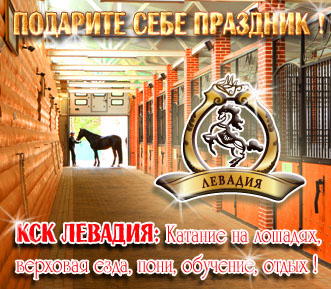 КСК Левадия - катание на лошадях, верховая езда, прогулки верхом, пони-клуб, занятия конным спортом, отдых, конкур, выездка, продажа лошадей